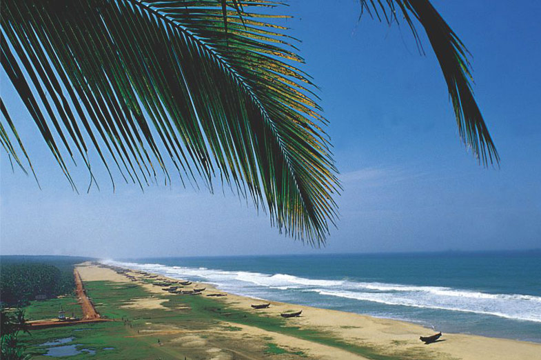 Goa and Dandeli Forest