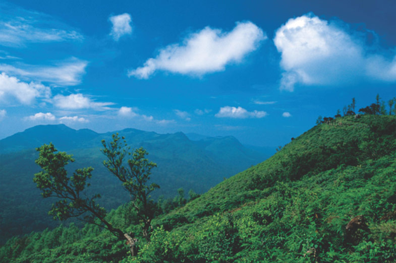 Honeymooner's Paradise